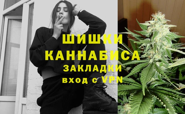 Альфа ПВП Новозыбков