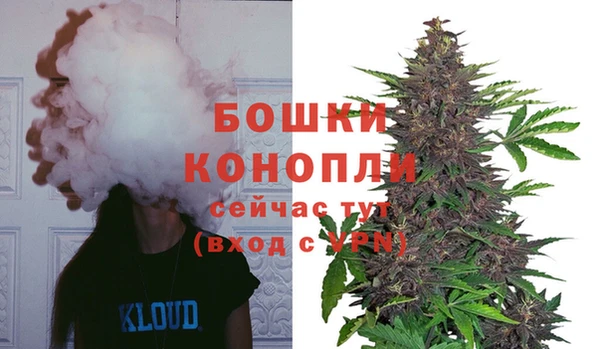 Альфа ПВП Новозыбков