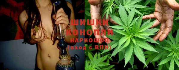 Альфа ПВП Новозыбков
