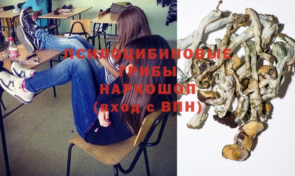 Альфа ПВП Новозыбков