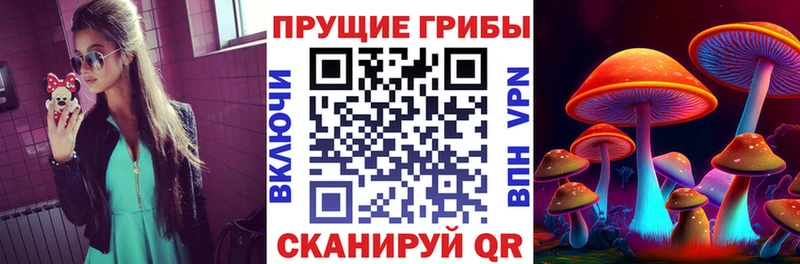 Галлюциногенные грибы Psilocybine cubensis  Мытищи 