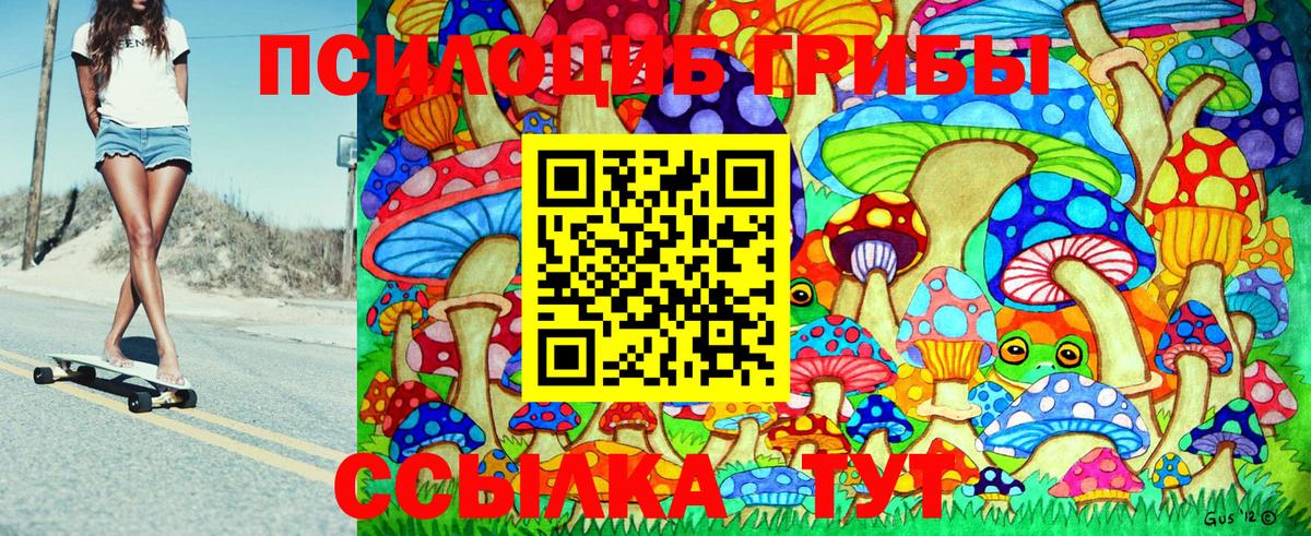 Галлюциногенные грибы Psilocybine cubensis Мытищи
